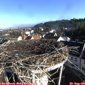 08_15-nest.jpg