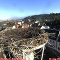 08_20-nest.jpg