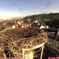 08_25-nest.jpg