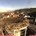 08_35-nest.jpg