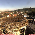 08_45-nest.jpg