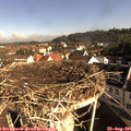 08_55-nest.jpg