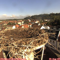 09_05-nest.jpg