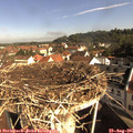 09_20-nest.jpg