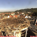 09_30-nest.jpg
