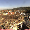 09_35-nest.jpg