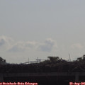 09_40-mast.jpg