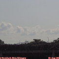 09_45-mast.jpg