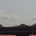09_50-mast.jpg