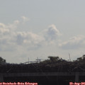 09_55-mast.jpg