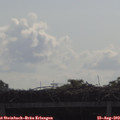 10_00-mast.jpg