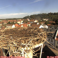 10_00-nest.jpg