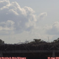 10_05-mast.jpg