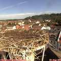10_05-nest.jpg