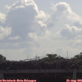 10_15-mast.jpg