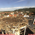 10_15-nest.jpg