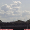 10_20-mast.jpg