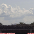 10_25-mast.jpg