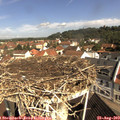 10_25-nest.jpg