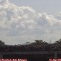 10_30-mast.jpg