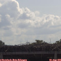 10_35-mast.jpg