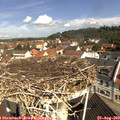 10_35-nest.jpg
