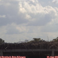 10_40-mast.jpg