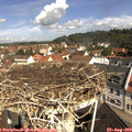 10_40-nest.jpg