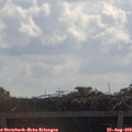 10_45-mast.jpg