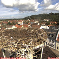 10_55-nest.jpg
