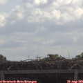 11_00-mast.jpg