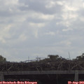 11_20-mast.jpg