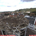 11_20-nest.jpg