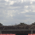 11_25-mast.jpg