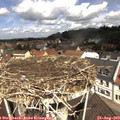 11_25-nest.jpg