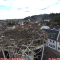 11_30-nest.jpg