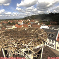 11_35-nest.jpg