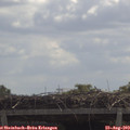 11_40-mast.jpg