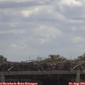 11_45-mast.jpg