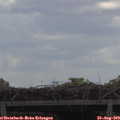 11_55-mast.jpg