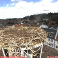 11_55-nest.jpg