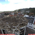 12_00-nest.jpg