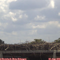 12_05-mast.jpg