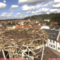 12_05-nest.jpg