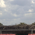 12_10-mast.jpg