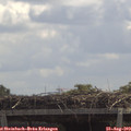 12_15-mast.jpg