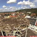 12_15-nest.jpg
