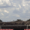 12_25-mast.jpg