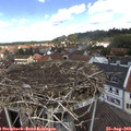 12_25-nest.jpg