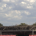 12_35-mast.jpg
